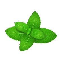 Load image into Gallery viewer, Hookafina Mint Knockout - HFN